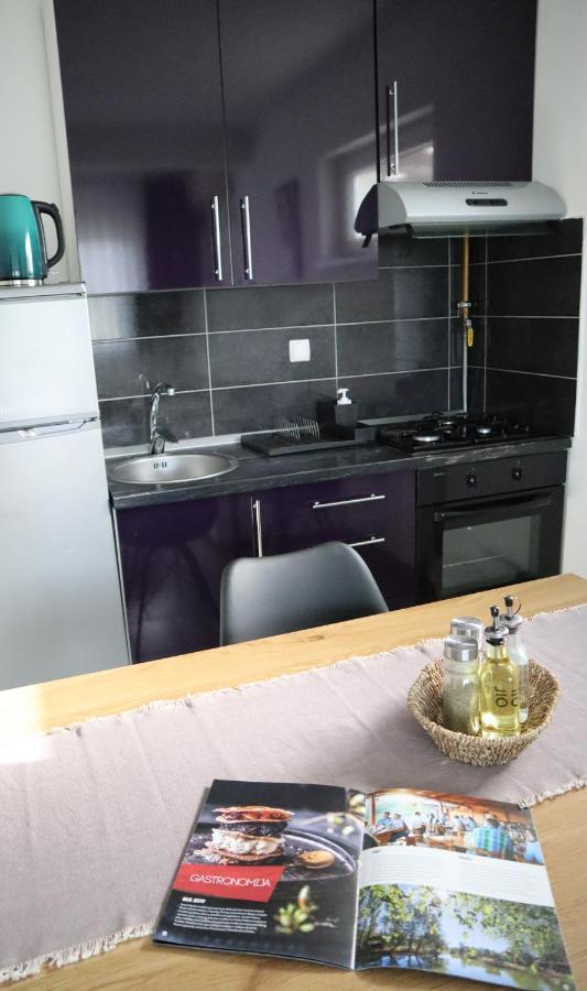 Apartment Sandra Toplice Sveti Martin Sveti Martin Na Muri Eksteriør bilde